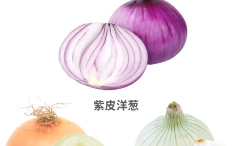制桑白皮的功效与作用及禁忌网蜜制桑白皮的功效知识网站,分享桑白皮的方剂大全