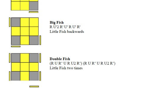 桑白皮的制作过程-制桑白皮的功效与作用及禁忌网蜜制桑白皮的功效知识网站,分享桑白皮的方剂大全